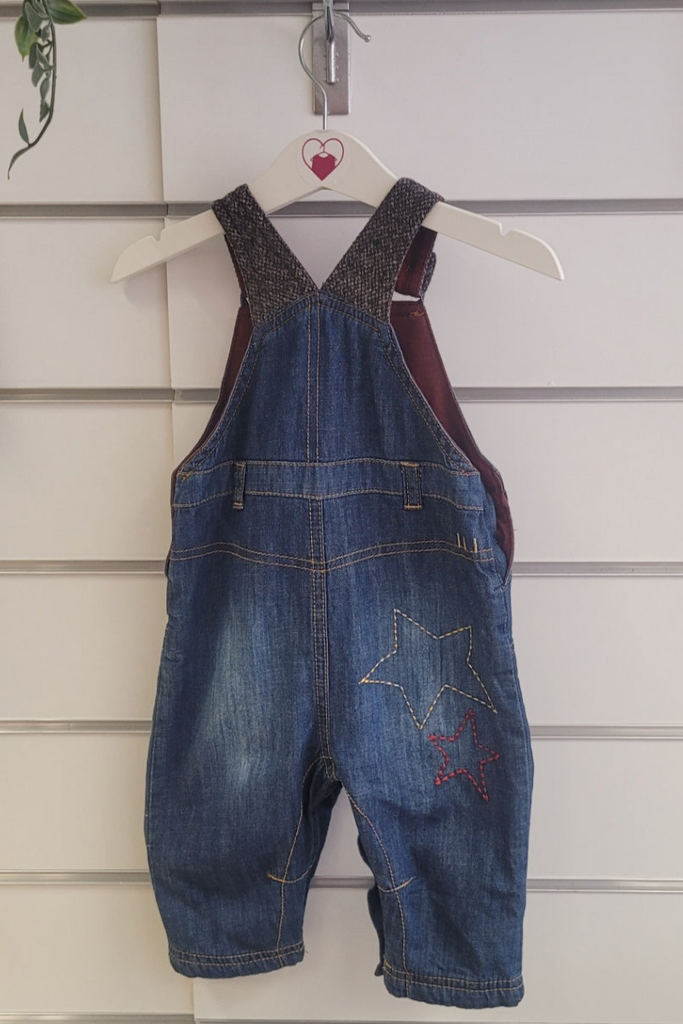 Blue denim overalls hanging on a white wall with a plant in the corner.